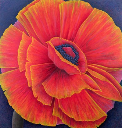 Big Poppy by Ruth Addinall